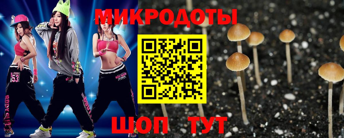 Прохладный  Галлюциногенные грибы GOLDEN TEACHER  Вход с VPN 